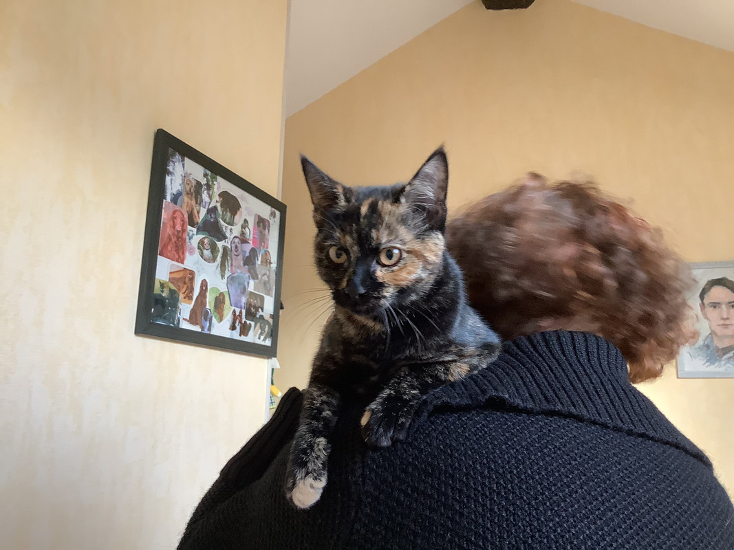 0AA41554-C905-4368-A1FE-E6B2B08B90C0