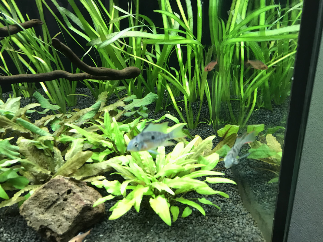 9635D448-0940-450B-AC42-54E235A839D3