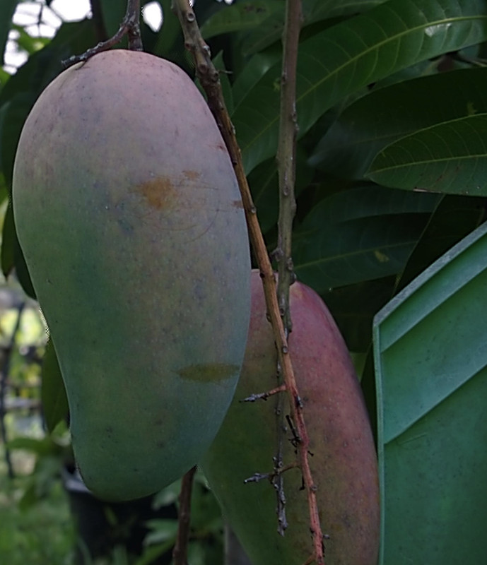 image1 (8)