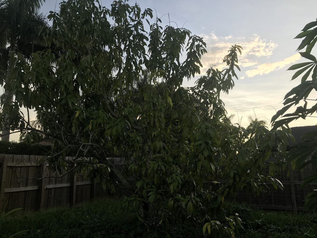 A5815DED-3011-420C-95E7-E8198A0CC28E