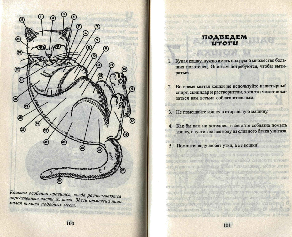 Bejker-Stiven-Kak-zhit-s-koshkoj-nevrotikom-page-0052
