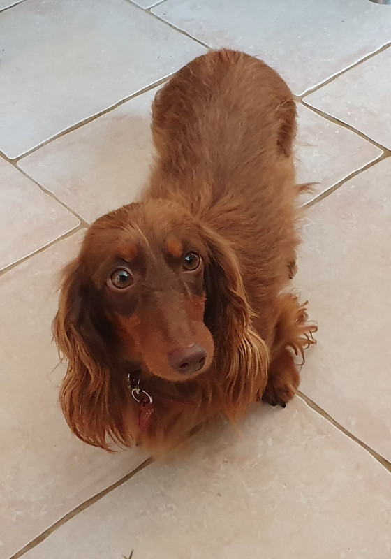 [Image: 20230528-152616.jpg]