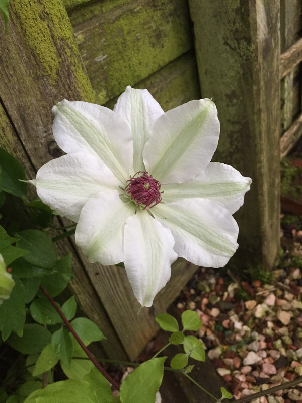 A22C1415-E86E-40BD-ACE7-ABA95E25F245