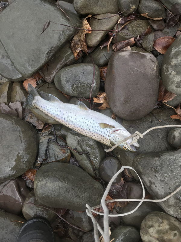 AE8E0609-E133-4C9D-ACEF-1AB40CABA329