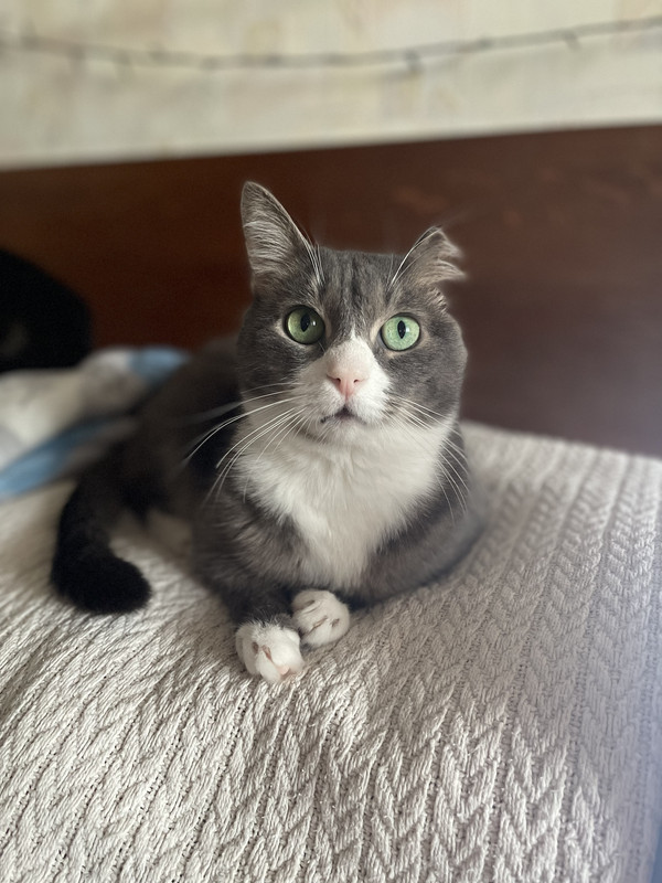 300A0FC9-6704-4719-BAB9-BA44DB388E2D