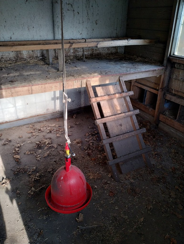 IMG_20250203_143206959_HDR