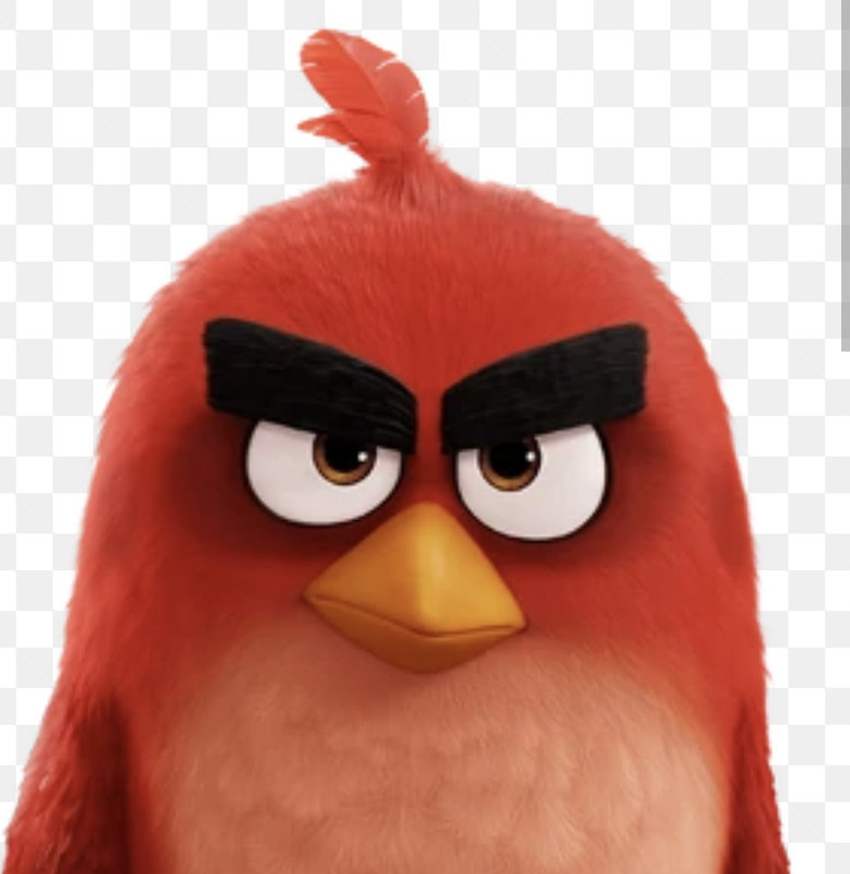 Screenshot 20260408 084925 Chrome