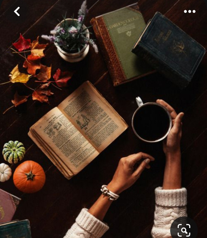 Screenshot_20230909_010228_Pinterest