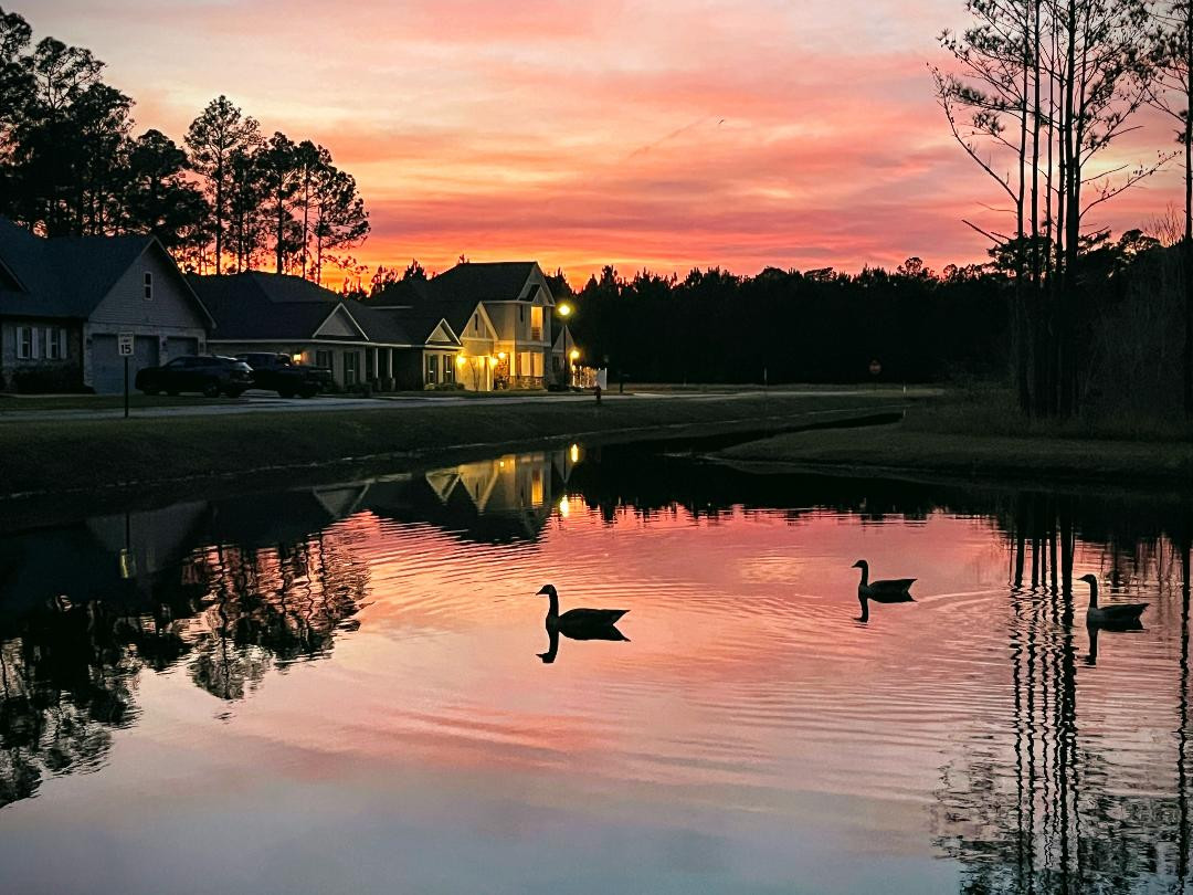 thumbnail 2026 02 25T093221 573