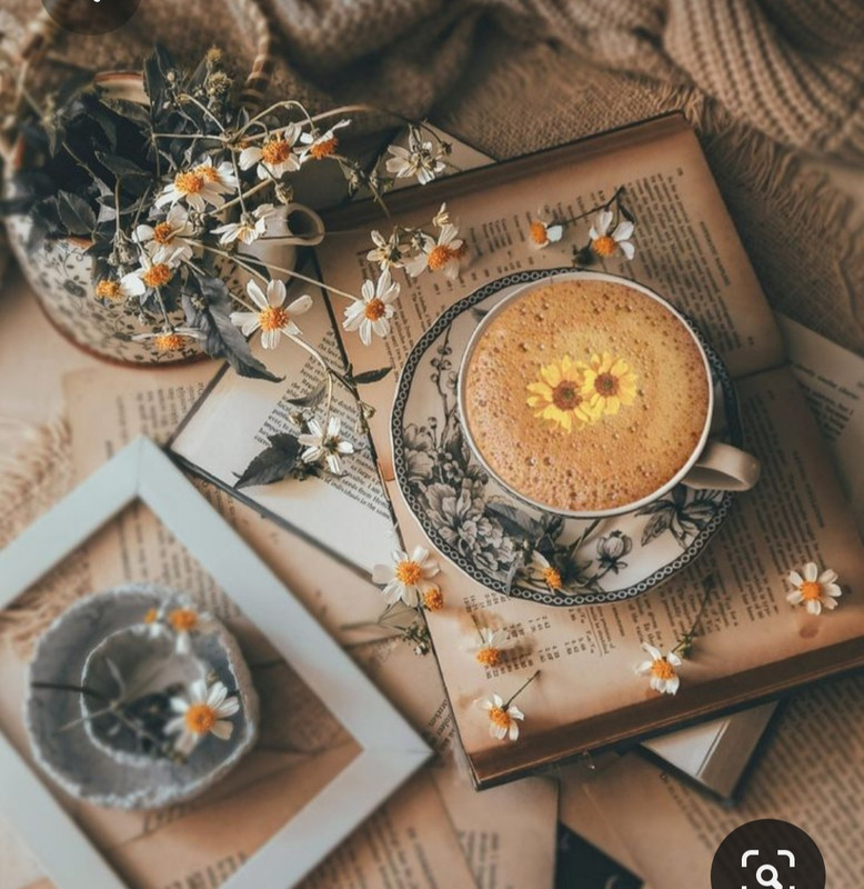 Screenshot_20230806_235119_Pinterest