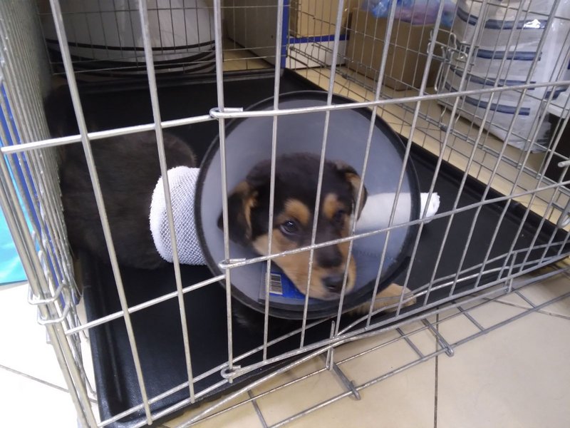 изображение_viber_2022-12-10_22-37-53-875