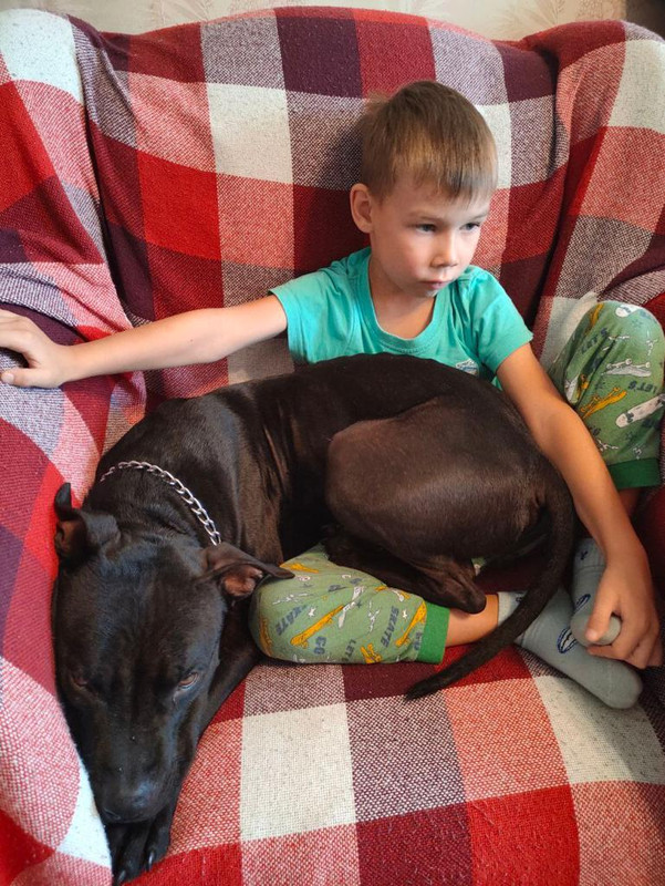 7ED0C7CC-BDCB-459F-AE1A-A0D3669CC740