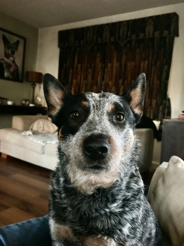 CA7A01A2-B8CC-41E1-8BA8-14BD3DCDBC19