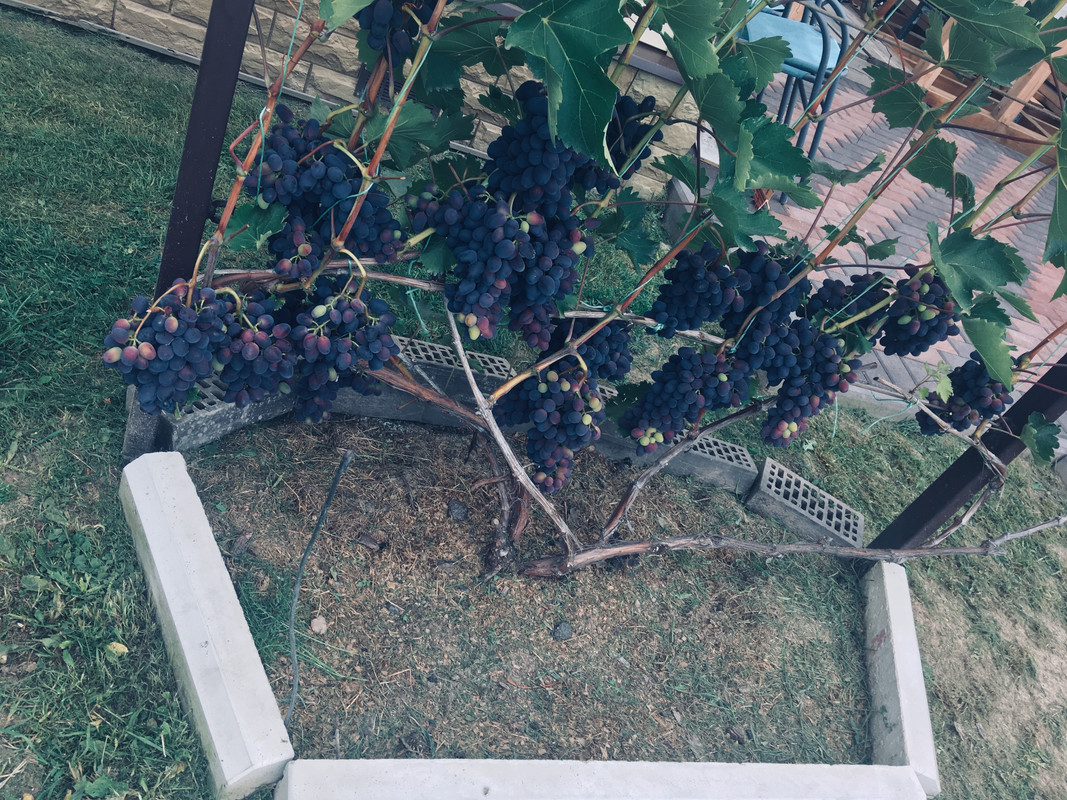 99FC3C45-9159-4E6F-9BCE-DAF844A0E150