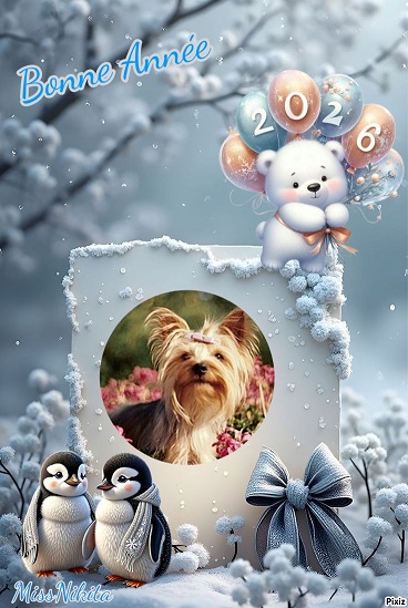 pixiz 30 12 2025 15 07 05