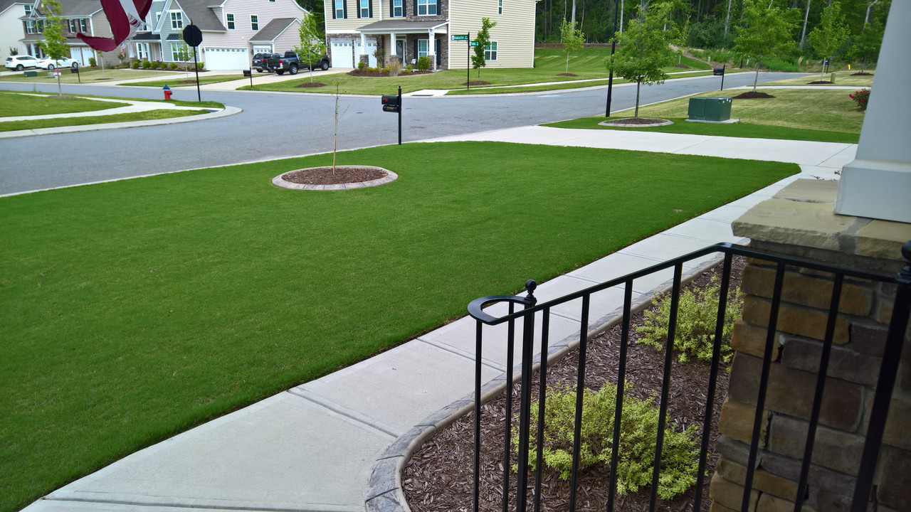 WP_20170430_09_42_54_Pro_LI