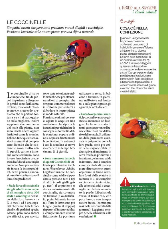 Pol Ver Lug 2021 (1)