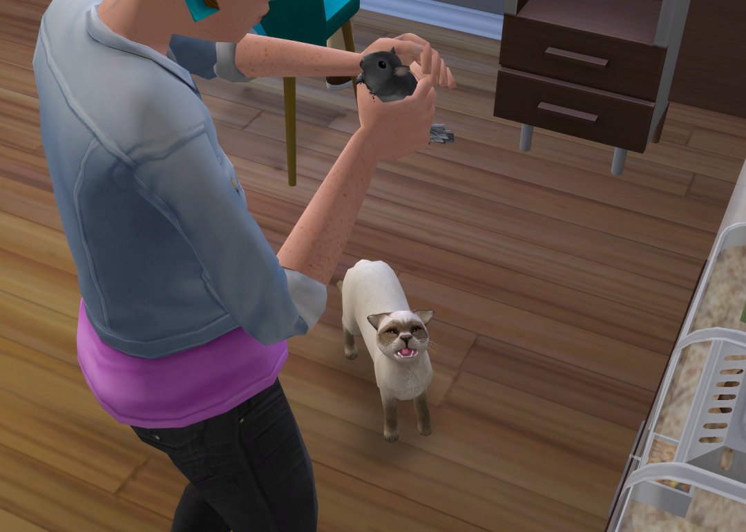 ksnip-20250810-192814