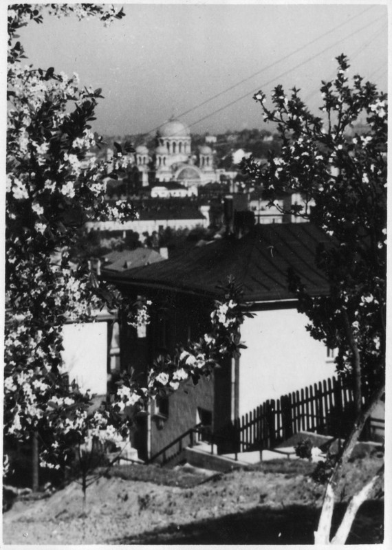 Kaunas žydi J. Murausko foto