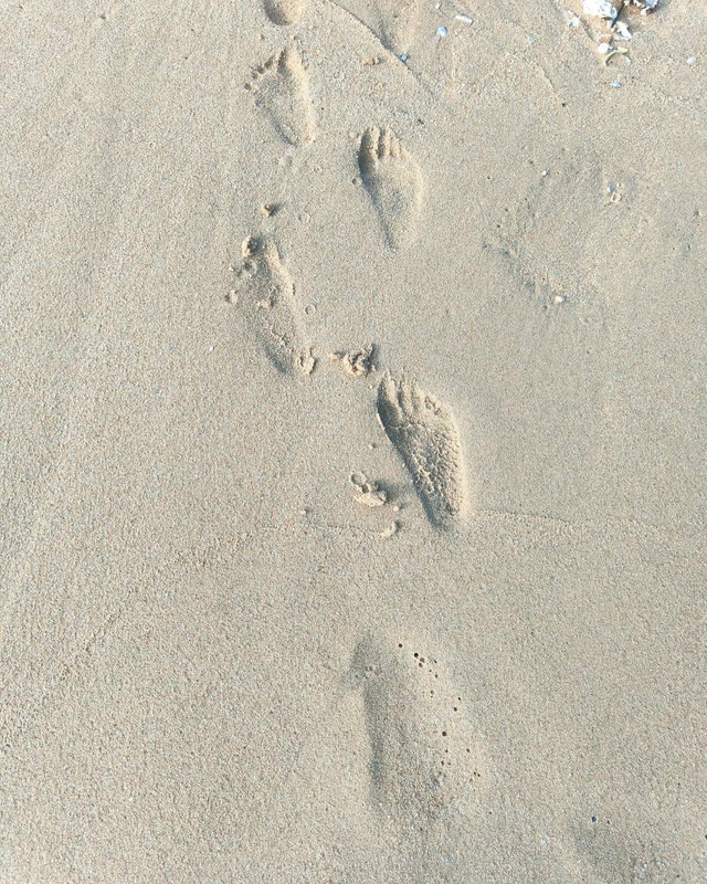 vikkiiexplorer-1720435504-3407582446924566542-54255420614