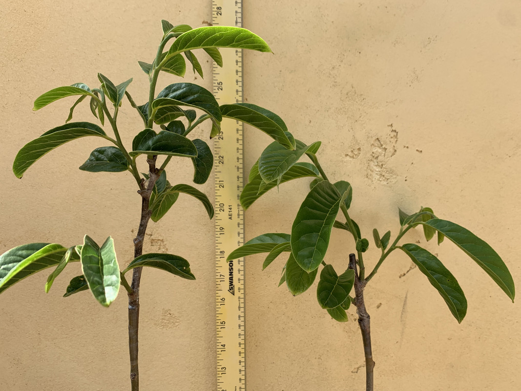 3B88A52C-7151-434A-9916-D614FAE99F02