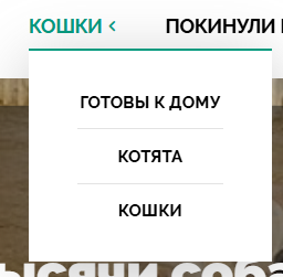 2025-06-30-093043