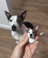 Customer pet figurine review photo