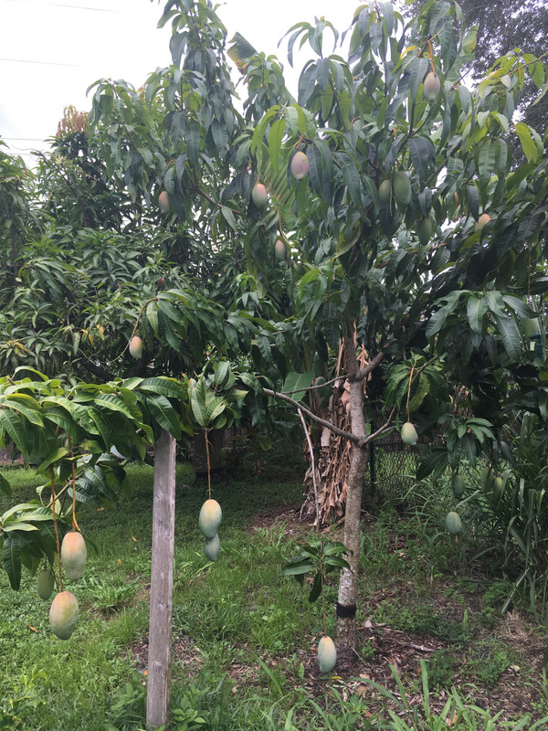 1AE88F48-9C2F-401E-9872-BB7C5656AE96