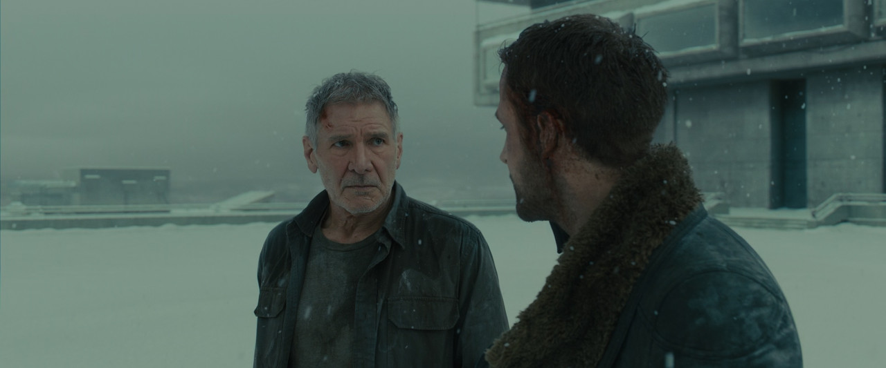 Blade Runner 2049 (2017).mkv_snapshot_02.29.31_[2018.01.23_00.15