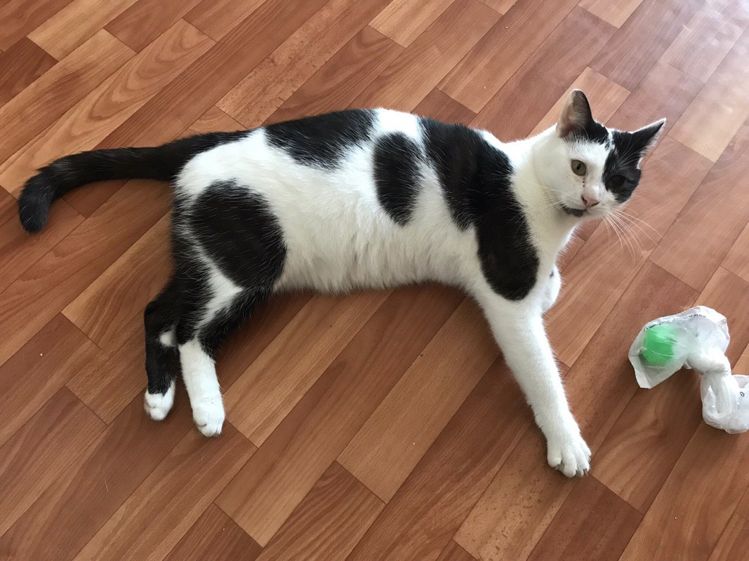 619D116B-7940-459D-9302-2347C98C7E87