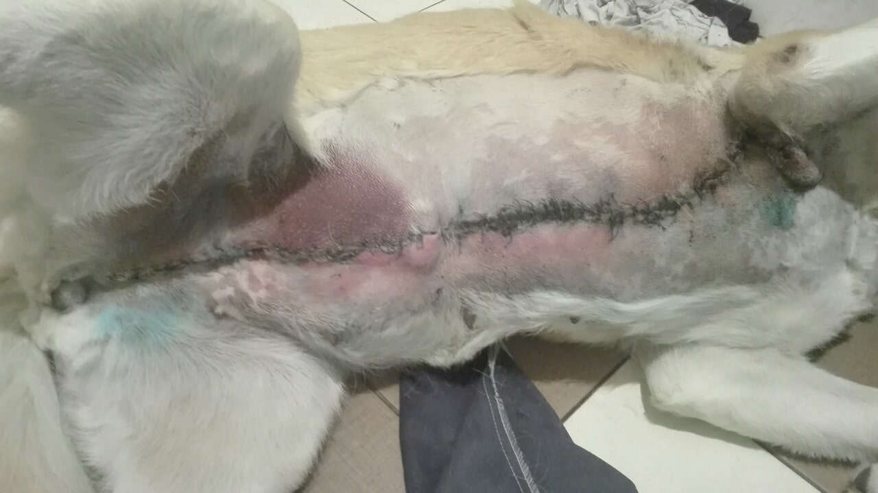 image-0-02-05-0dcd3ef79ec9f7d5fcd637427ec735127e