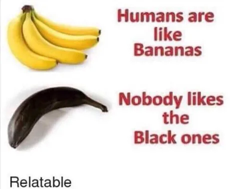 a1-Qz-Ve-D-460swp.png