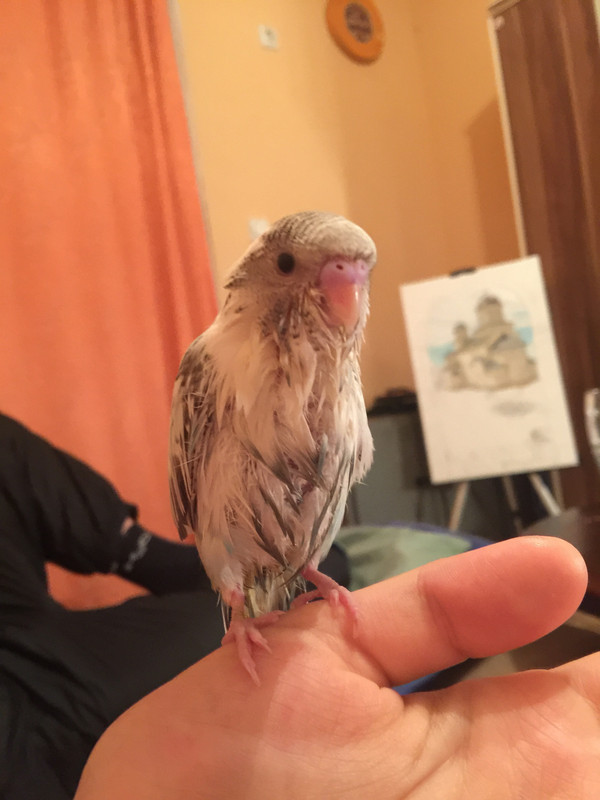 500ECF39-15E5-4268-B52B-C359E93173AC