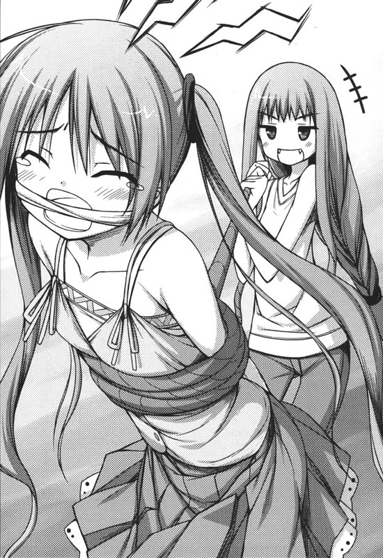 Rokujouma no ShinryakushaNovelMisc-1