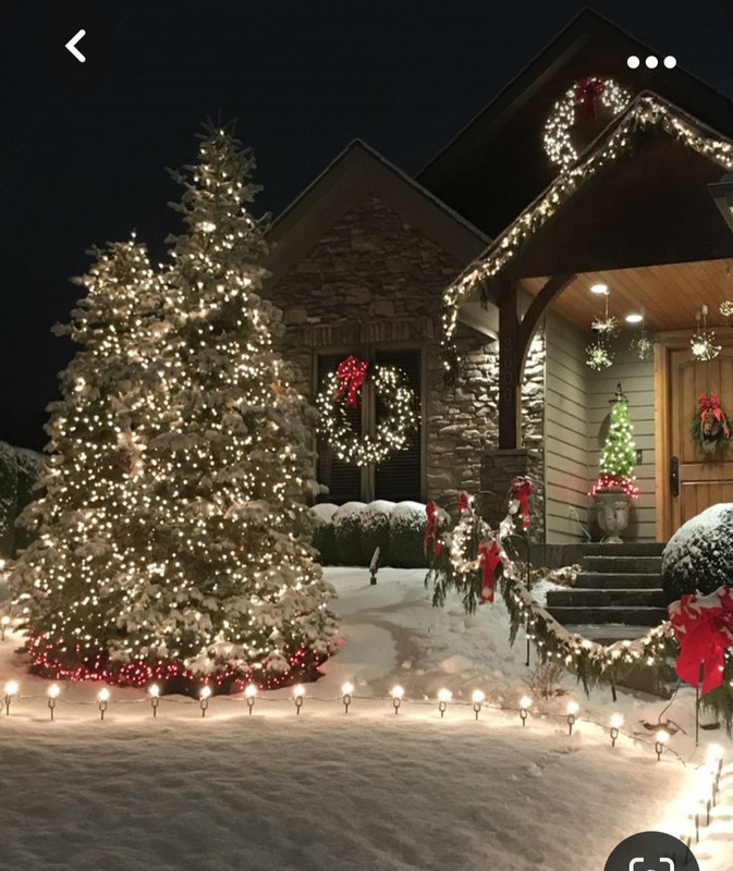 Screenshot_20231107_153748_Pinterest