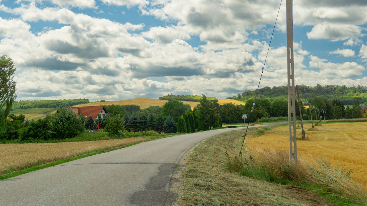 DSC07784.jpg