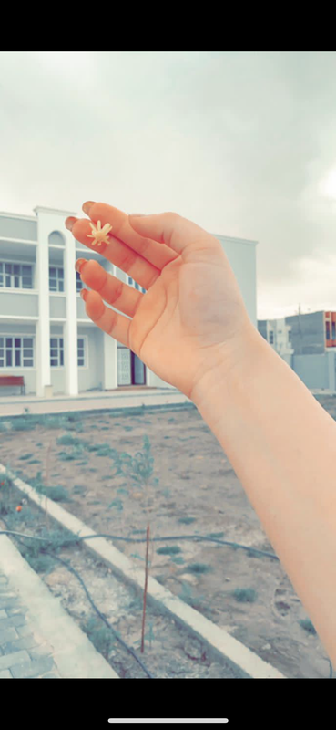 90DA709C-12E2-44E8-B730-3D6642DDFC20