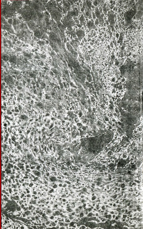 p0002