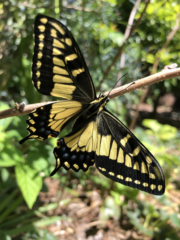 7D2E21A5-50C0-4A05-A2BC-265151527168