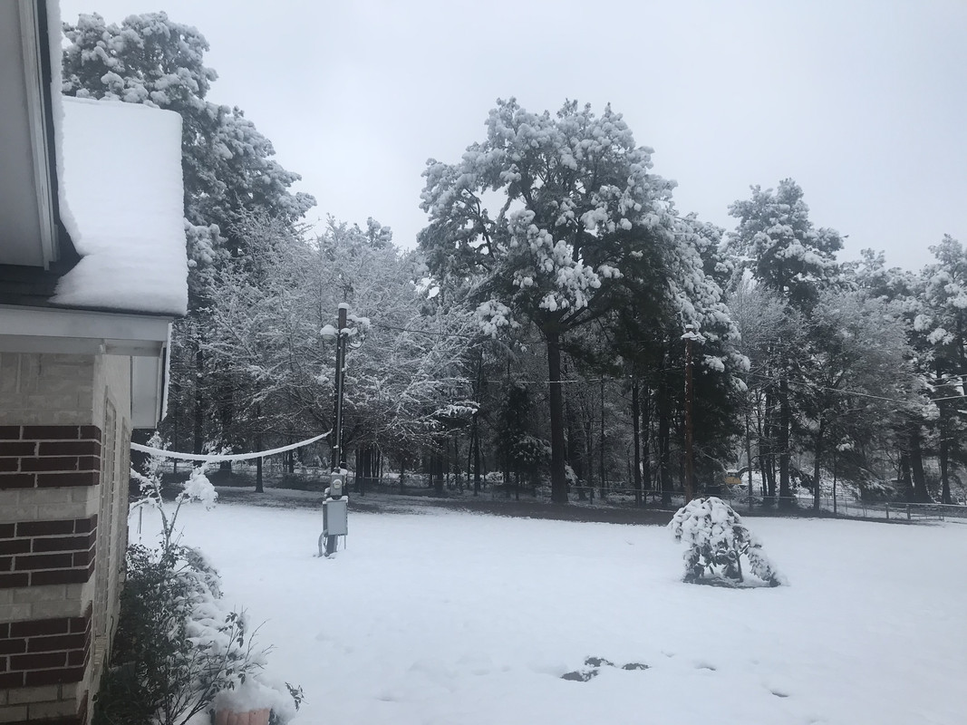 BD7A6069-D65B-459C-81A6-B4EEB0F74311