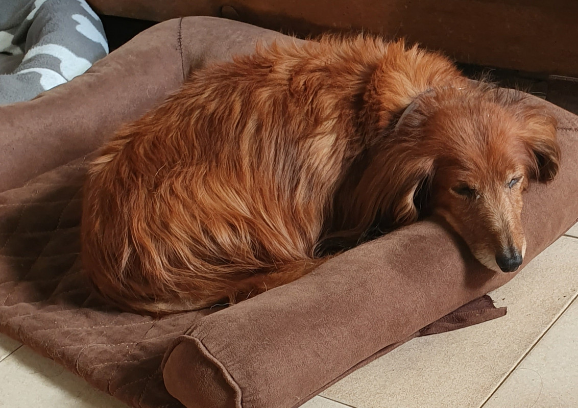 [Image: 20201127-114931.jpg]