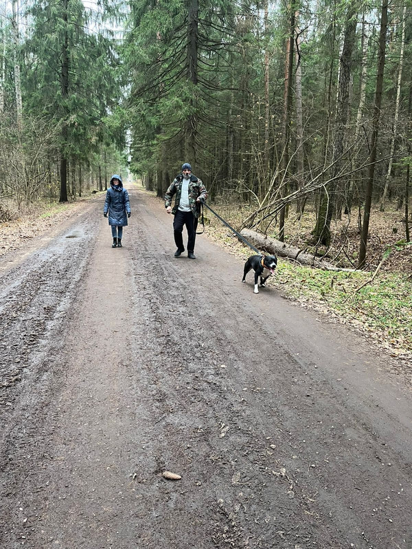 2F1BF243-2B78-4023-9A43-9156EFD2A8FF