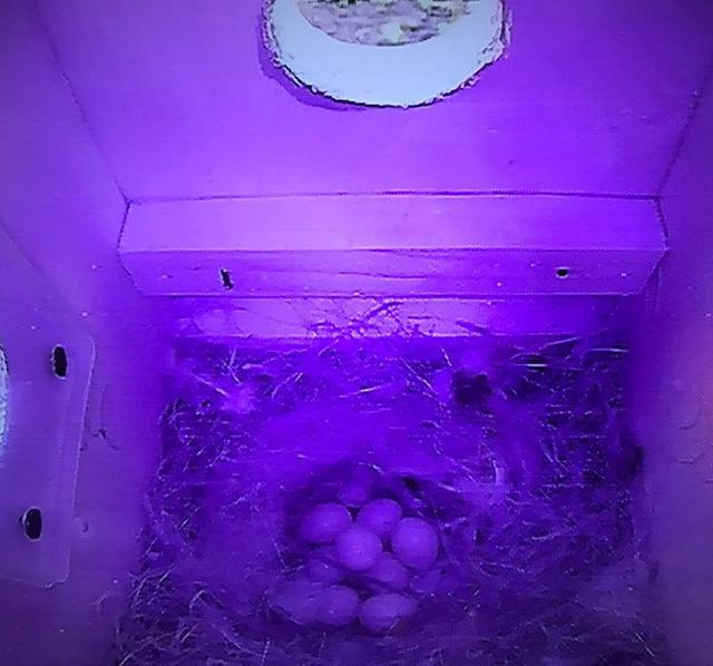 15EA383F-924A-438A-A0B4-C7D6CEF13890