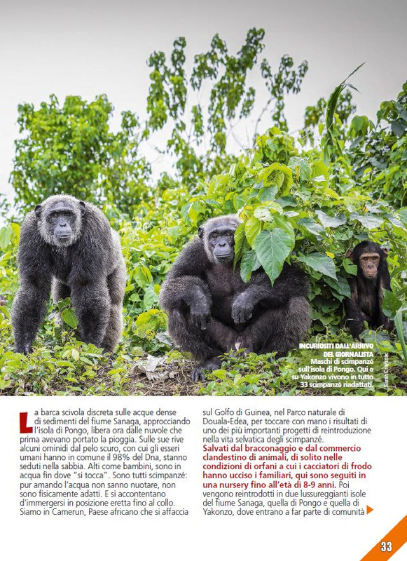 Foc Wil - Feb 2024 (8)