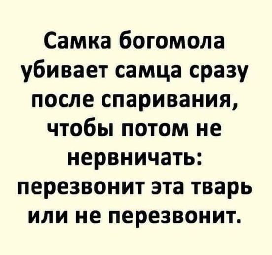 17217194.jpg
