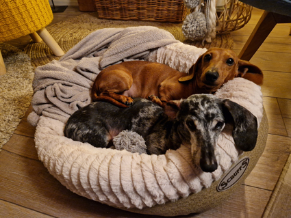 [Image: 20230109-164647.jpg]