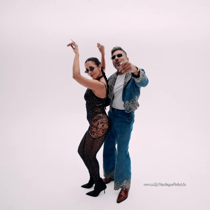 37-Malaika-Arora-Hot-in-Chillgum-Song-by-Yo-Yo-Honey-Singh-My-Vantage-Point