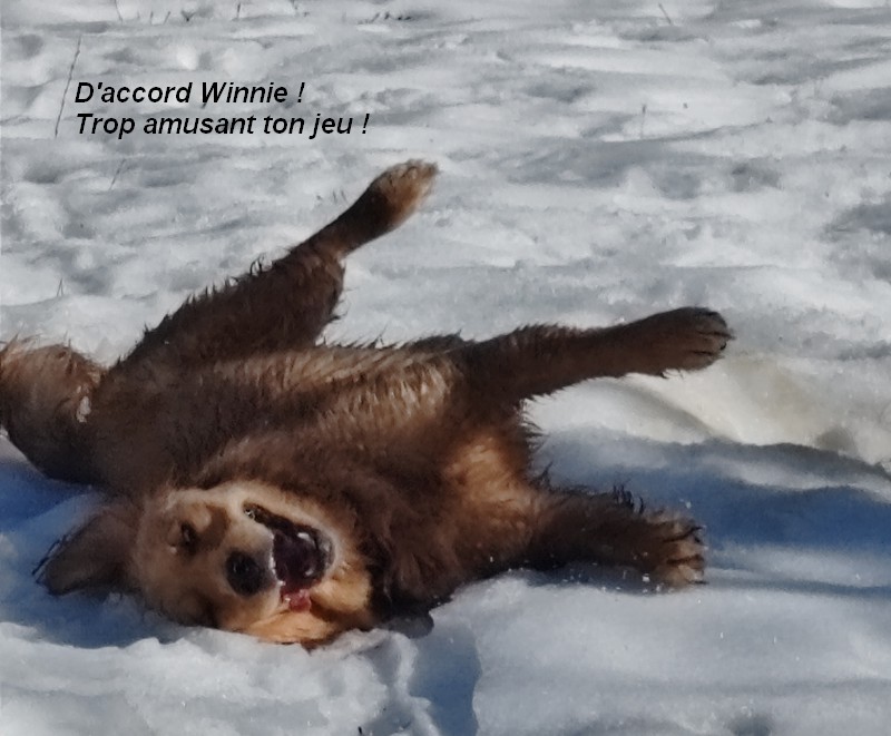 IMG-20260222-114022bb