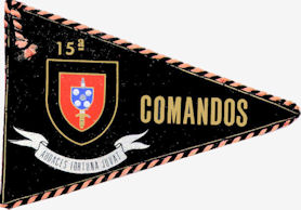 15CCmds