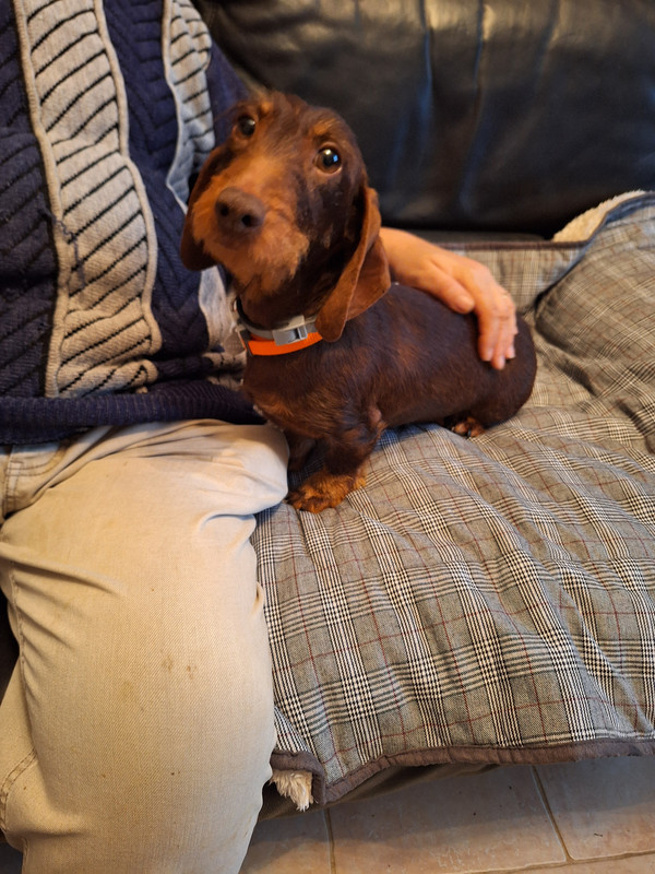 [Image: 20231223-151833-0.jpg]